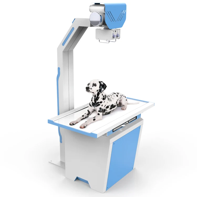 Ветеринарные магазины