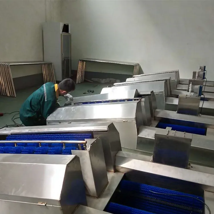 Automatic stainless steel boot washers for slaughterhouse hygiene