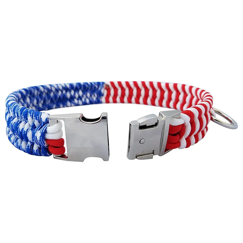 blue collar dog training