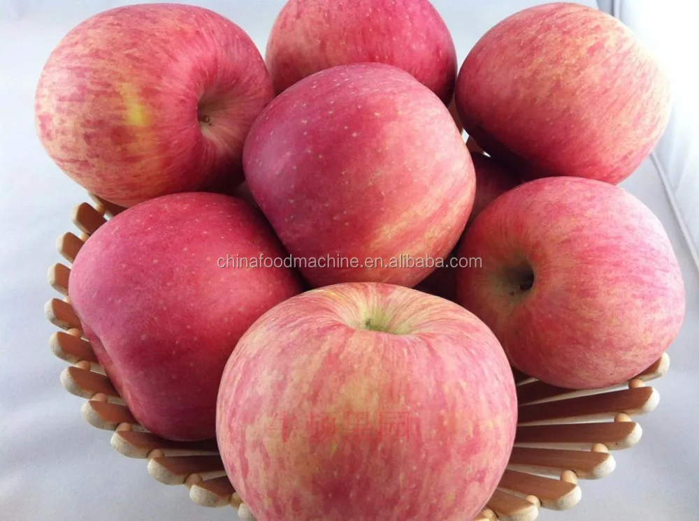 Осенний полосатый сорт яблок. Сорт кисло-сладкого яблока. Яблони крупные сладкие сорта. Самые большие яблоки сорт. Сорт яблок малинка.