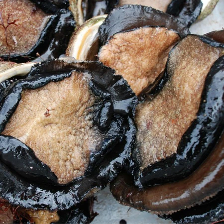 新鮮な生きているアワビ Buy ライブアワビ Product On Alibaba Com