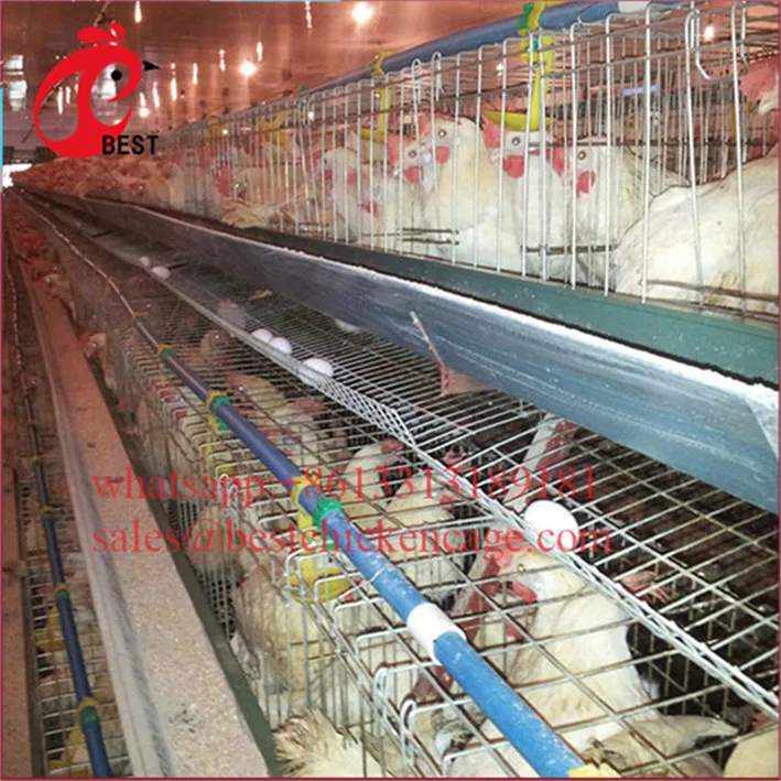 Клетка для разведения птиц курятника высокого качества по самой низкой цене, курятник 200