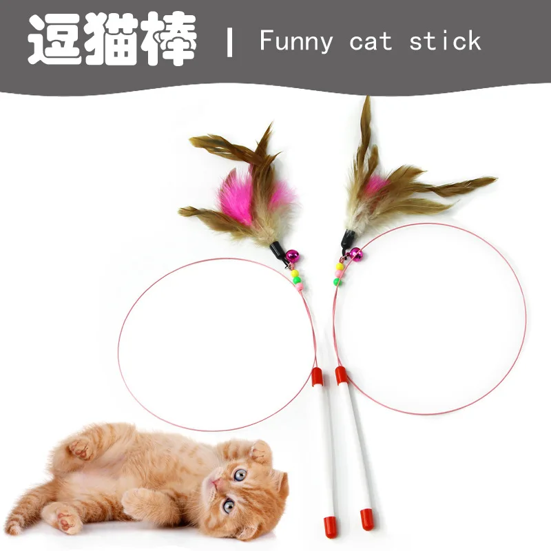 cat chaser toy