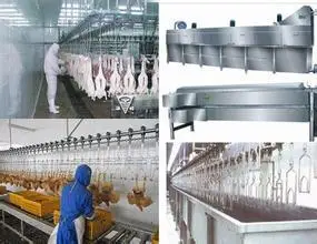 Hot selling chicken machine poultry plucking machine slaughtering production line