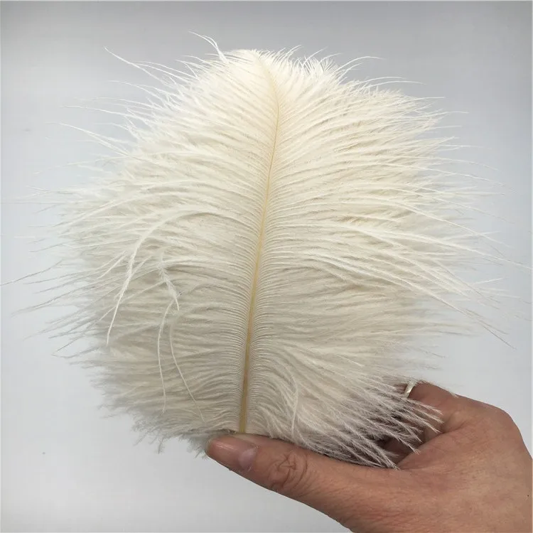 where can i purchase ostrich feathers