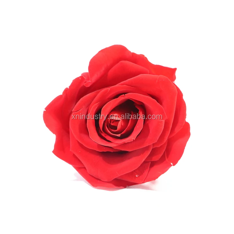 Rosas De Rubí De Calidad A,Rosas Preservadas Naturales Reales De  5-6cm,Venta Al Por Mayor - Buy Y Rosas Venta Al Por Mayor,Natural Y Rosas,Ruby  Rose Product on 