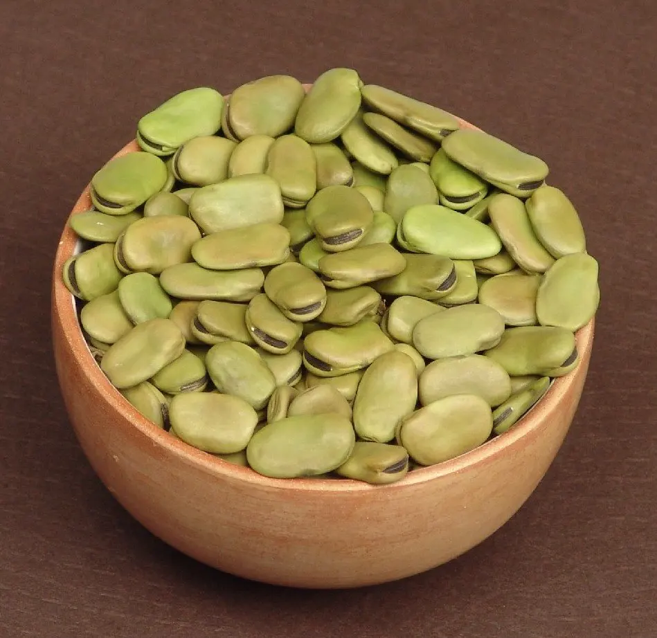 fava bohnen fava bohnen