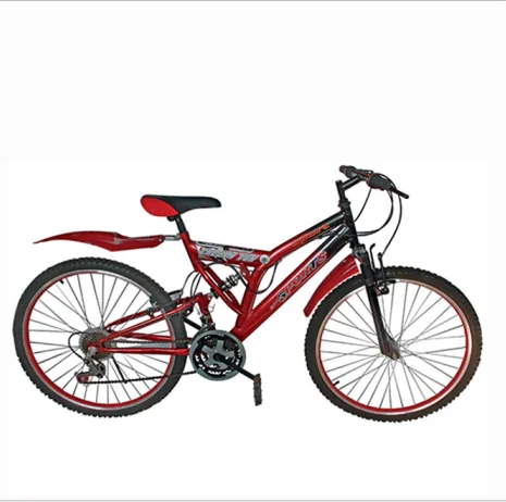 2021 Steel Bike Outdoor Mountain 