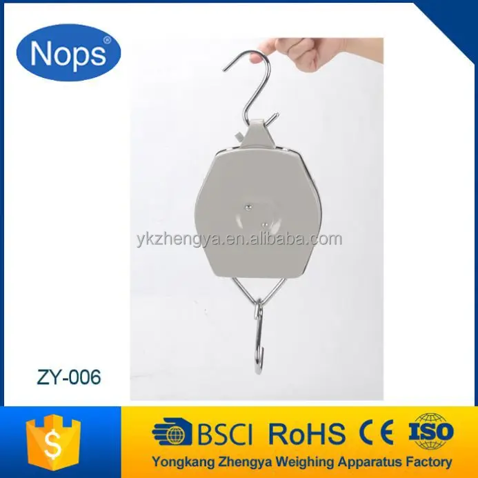 100kg Hanging Scale Spring Scale Weighing Apparatus