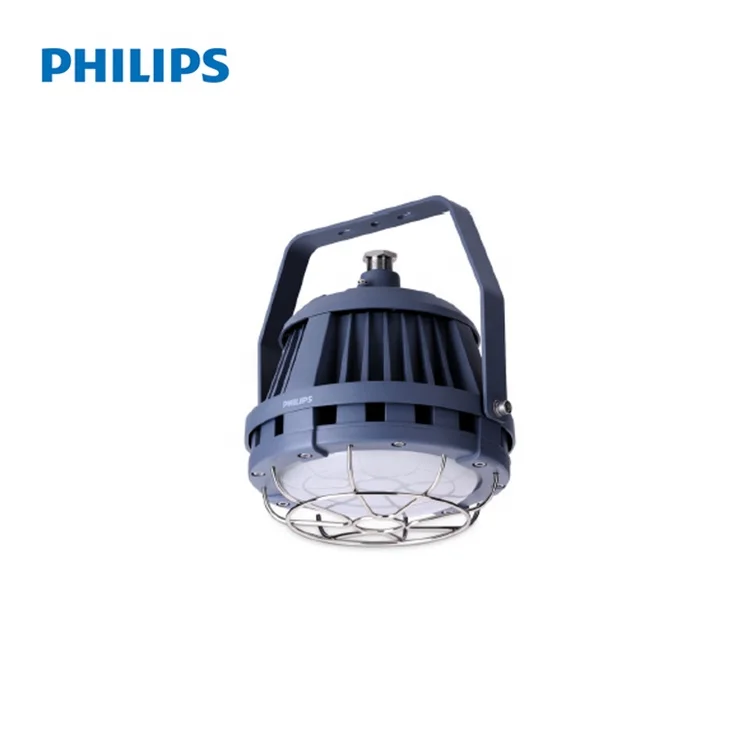 well glass led light fitting philips