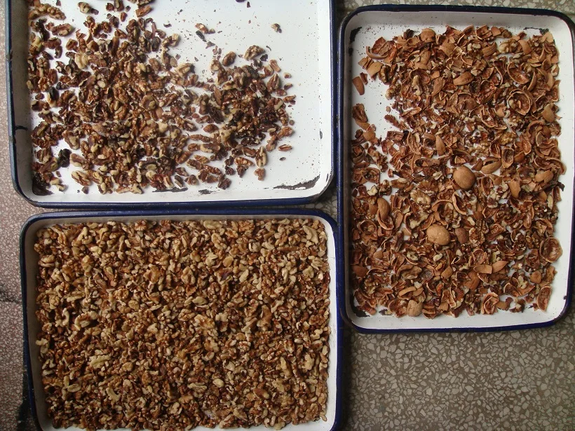 chinese factory hot sale walnut kernal color sorter with factory