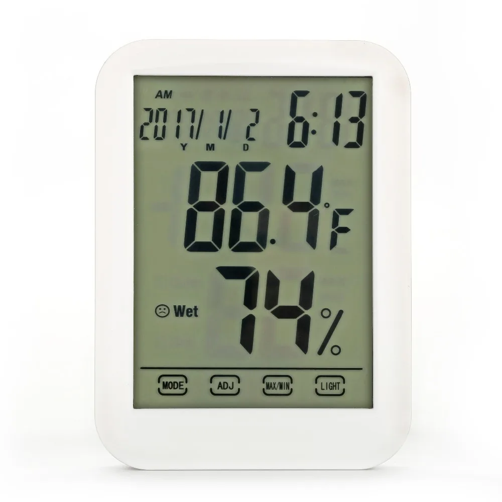 Retinal scan time clock with thermometer