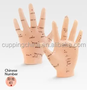 13 см на английском языке медицинская акупунктурная модель ручной акупунктурные точки ручная иллюстрирует органов по