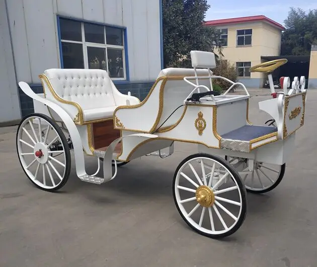 Sightseeing Electric Victoria Horse Carriage for Sale