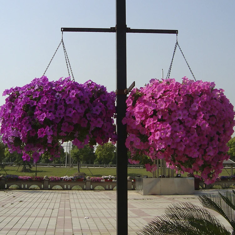 Подвесной цветочный горшок, садовые горшки для растений, подвесные садовые горшки из пластика, Китай