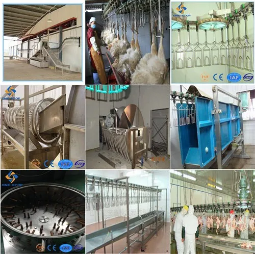 Commercial chicken feather plucking machine with motor core components for poultry feather removal