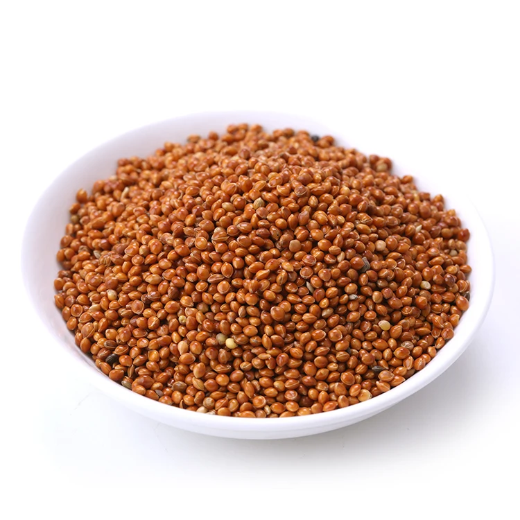 Новый Урожай Красного/белого/желтого клейкого бромкуруза лисий хвост пса для семян птиц