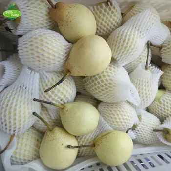 China seasonal fruit asian ya pear