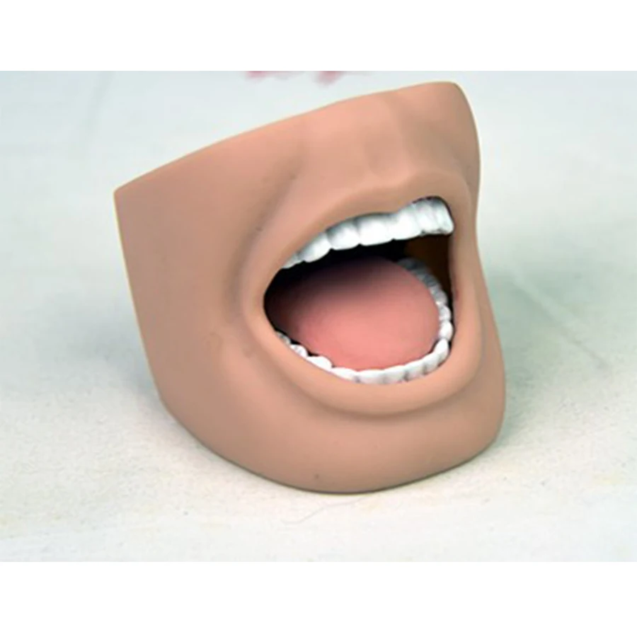 Резиновый рот. Резиновый муляж ротовой полости. Искусственный рот. Муляж рта. Ш 1 рты