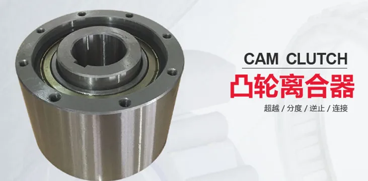 cam clutch mz_.jpg