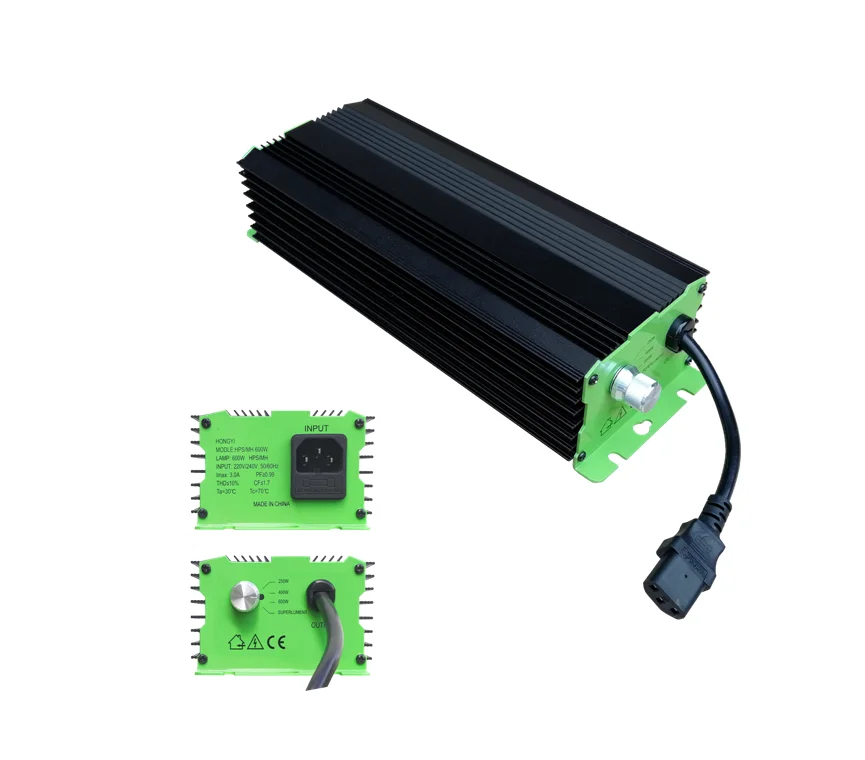 digital light ballast