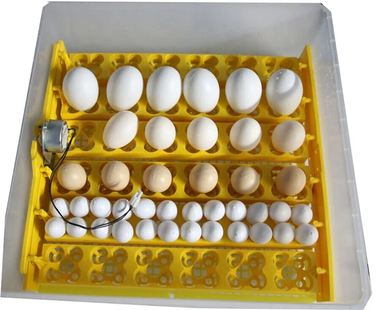 D 3436/25, Eggs & Luginbühl