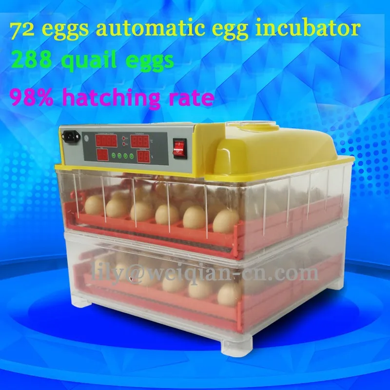 Инкубатор для перепелиных яиц купить