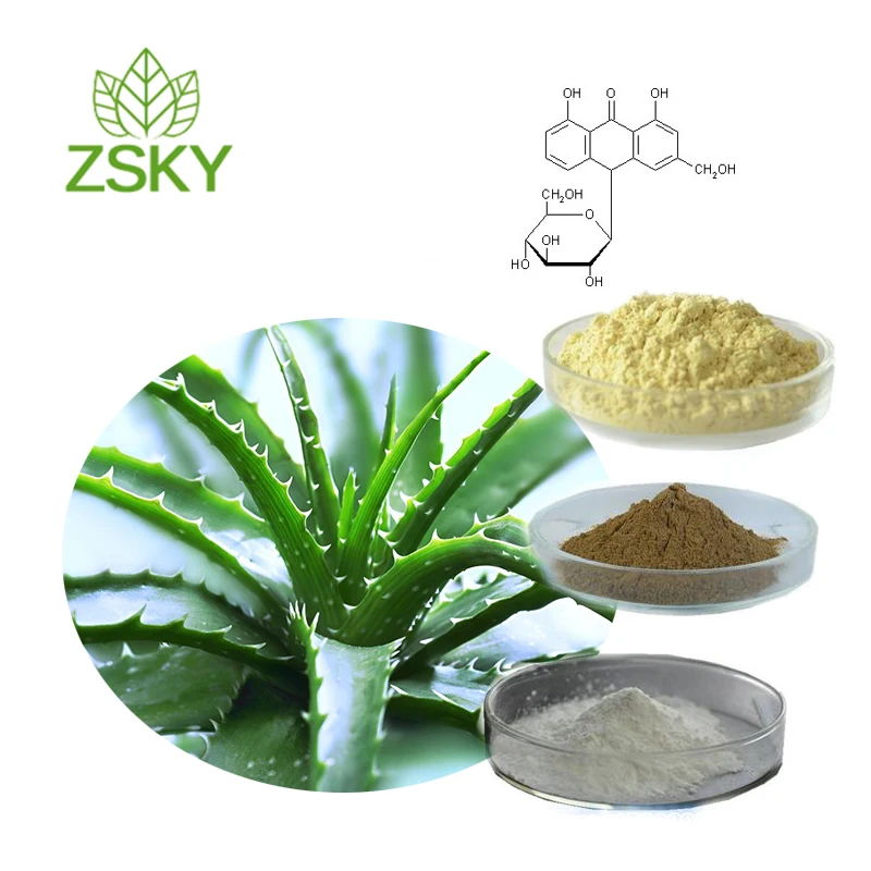 Aloe barbadensis leaf extract