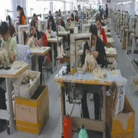 Qingdao Divaswigs&Extension Hair Co., Ltd. 1
