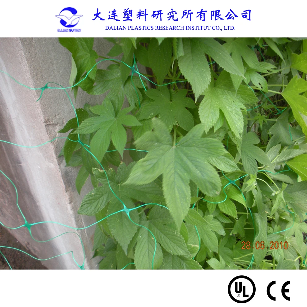 Plastic PP Anti Bird Mesh/net Production Line Plastic Net Machine