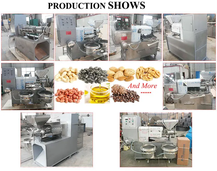 Commercial Cold and Hot Press Soybean Groundnut Coconut Sunflower Oil Press Machine Oil Mill Making Pressing Extracting Machine supplier