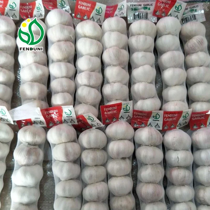 Spanish Red Garlic - New Season!!!