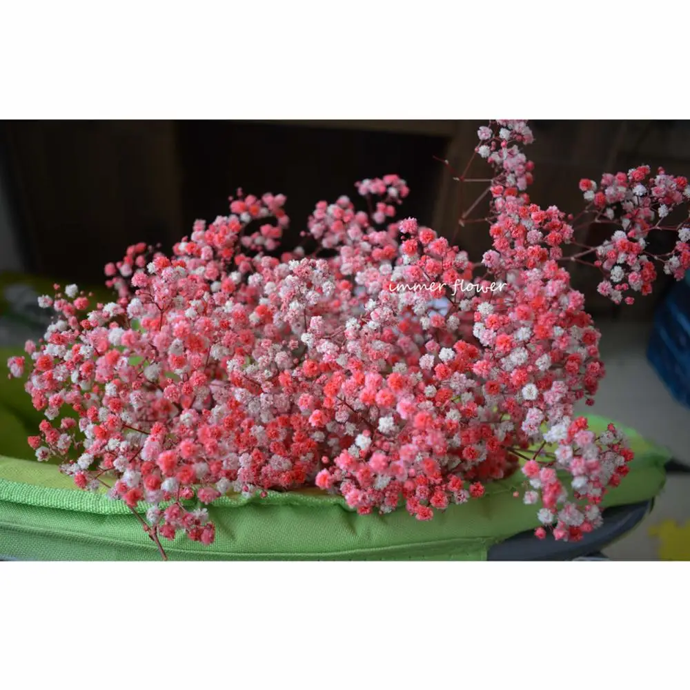 Colorful Preserved Baby Breath For Decoration Buy Preserved Baby Breath Artificial Flower Baby S Breath Wholesale Artificial Gypsophila Flowers Product On Alibaba Com