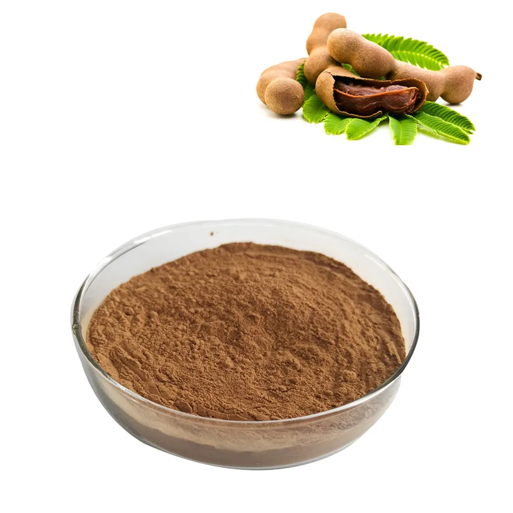 Pure Natural Tamarindus Indica Extract Buy Tamarindus Indica Extract Tamarindus Indica Extract Natural Tamarindus Indica Extract Product On Alibaba Com