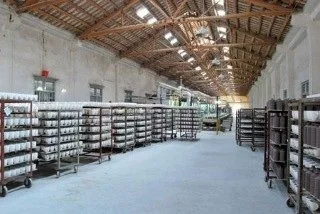 Chaozhou Huiyue Ceramics Fty. 3