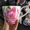 sample-image
