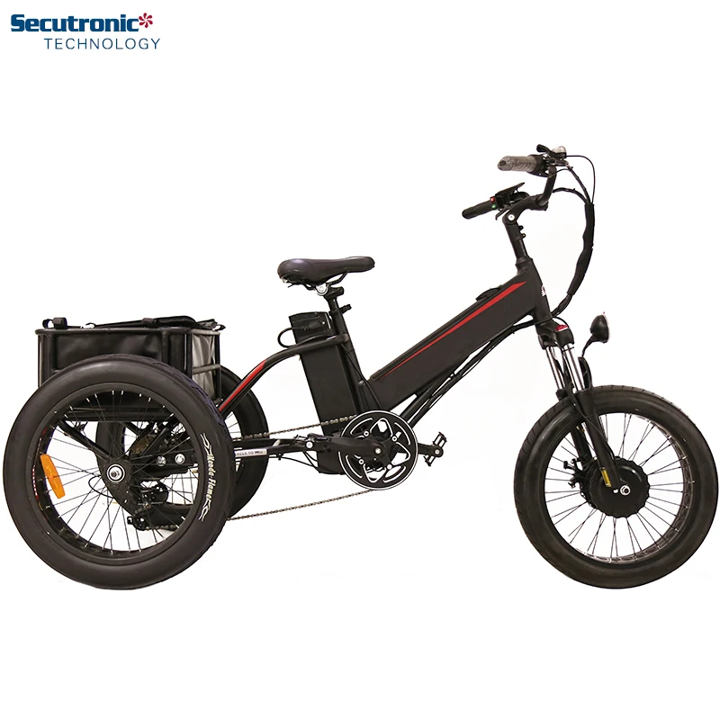 three wheel electric bike