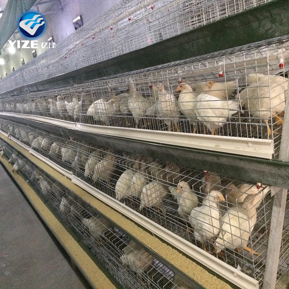 Chicken Cage Roosting Nest Pad Building a Chicken Run Chicken Feed Battery Cage Poultry Farming Cage