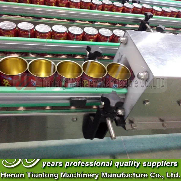 Tianlong OEM Service Chain Slat Conveyor for Silo