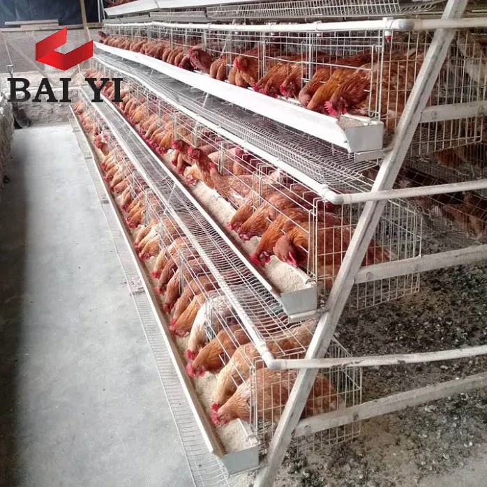 Download Nepal Galvanized Layer Bird Cages Chicken Cages Nest For Laying Hen Buy Nepal Galvanized Layer Chicken Cages Nest For Laying Hen Layer Birds Cages Product On Alibaba Com
