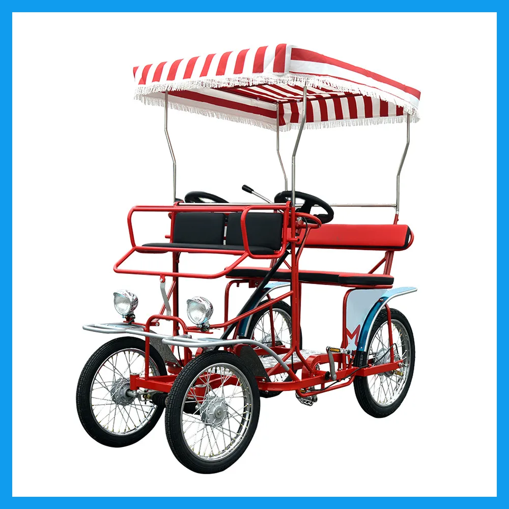 2 seater surrey bike online