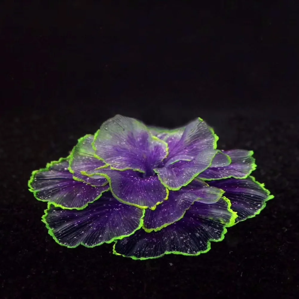 personalized aquarium decorations