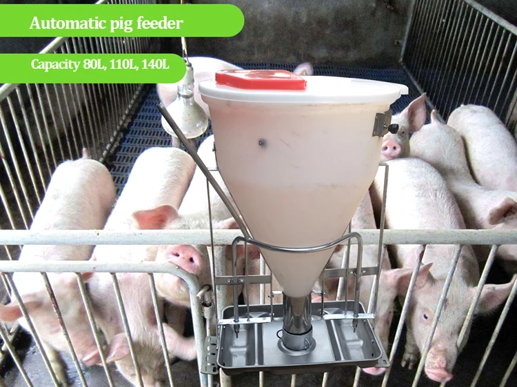 Plastic Pig Auto Feeders For Weaning And Finish Piglet - Buy Pig Auto ...