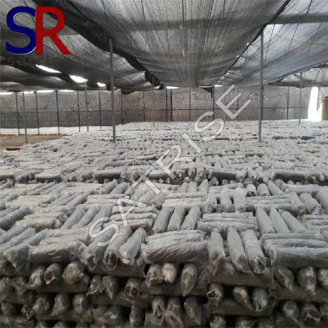 Хит продаж, Выращивание свежих грибов