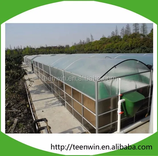 
 Teenwin, легкая и быстрая установка, установка для производства биогаза для ресторанов  