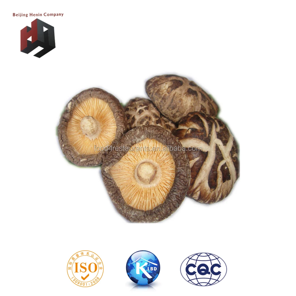 wholesale bulk dried mushrooms/dried shiitakes