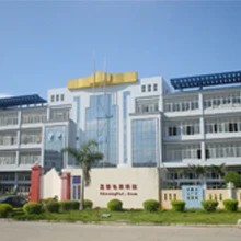 Adsure Packaging Limited 2