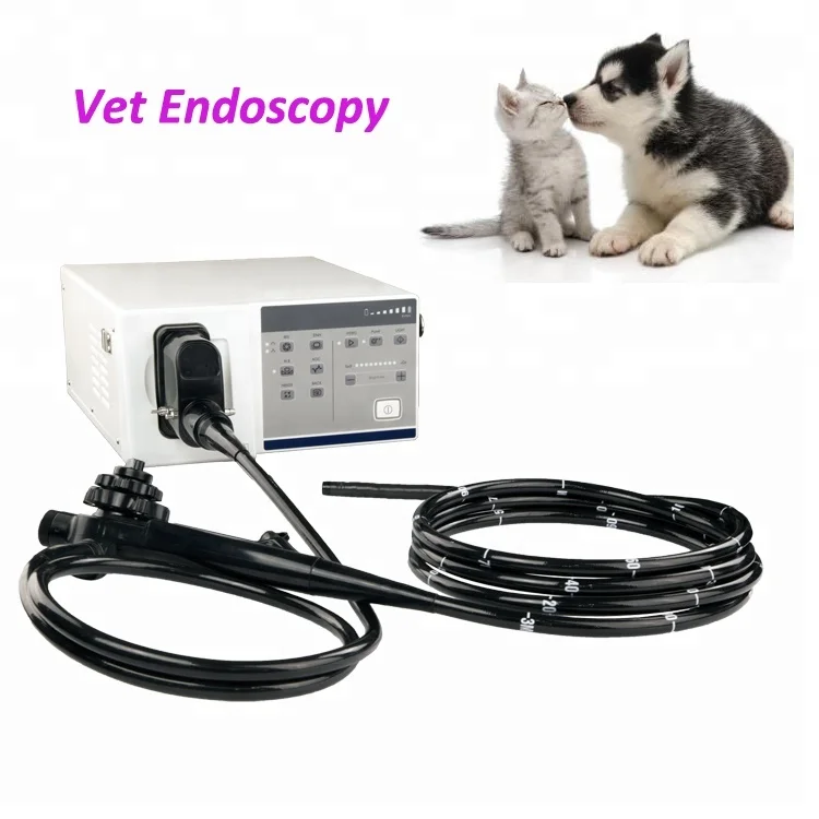 Professional Veterinary Endoscope System Vet Camera Endoscopic For Dog Or Cat Mslvp01 Buy Camera Endoscopic Venterinary Endoscope Video Endoscope Product On Alibaba Com