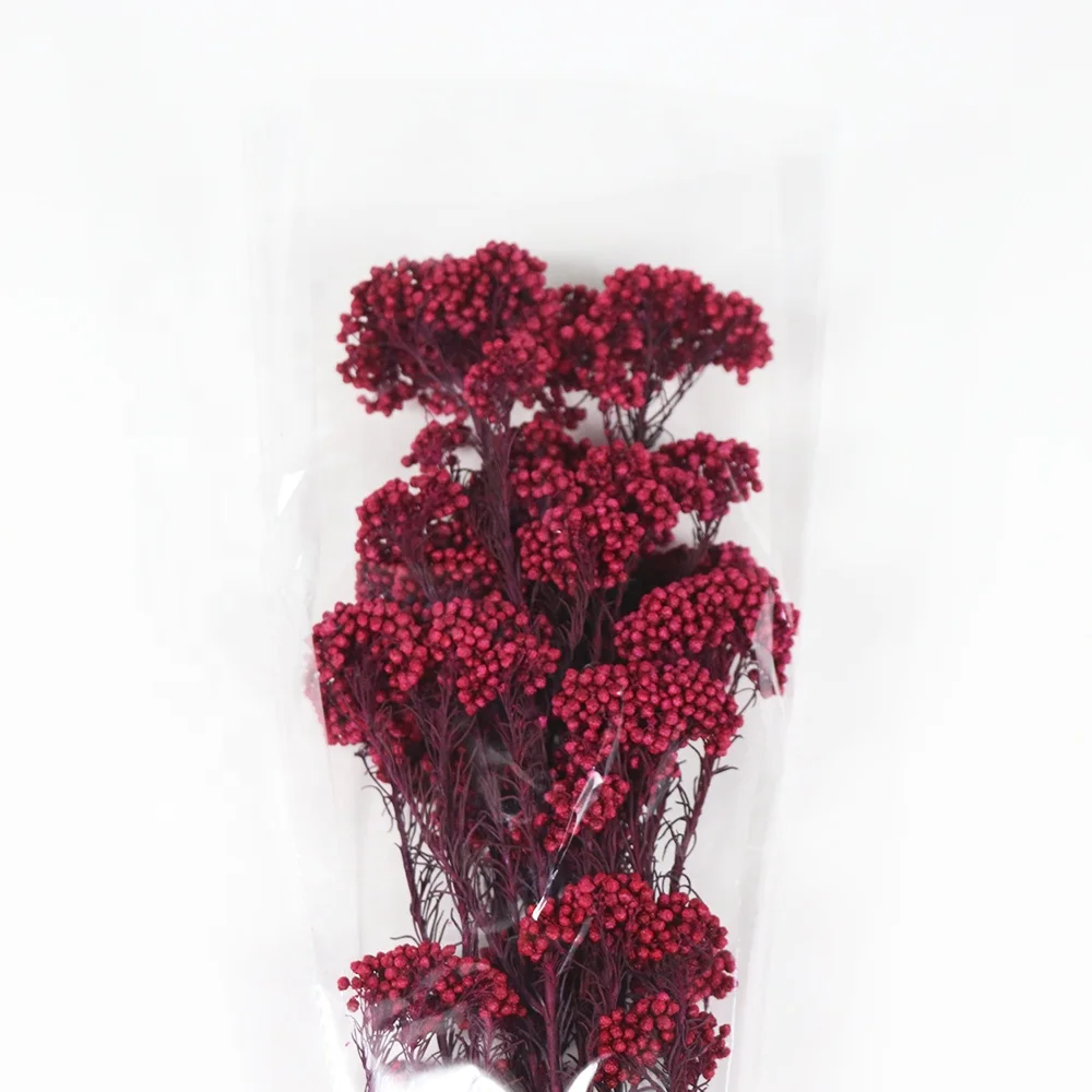 Source Factory Dried Rice Flowers for Home Decoration Dried Flowers Grass Decor Millet Flowers