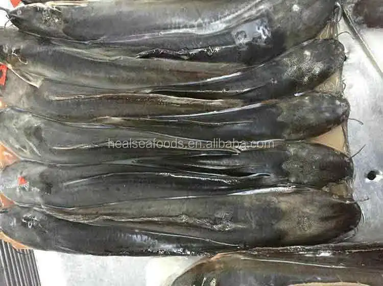 Wholesale African Seafood Frozen Catfish Ikan Smoked Whole Catfish